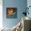 Bird of Paradise I-Vivien Rhyan-Mounted Art Print displayed on a wall