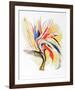 Bird of Paradise II-Vick Vibha-Framed Collectable Print