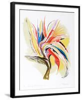 Bird of Paradise II-Vick Vibha-Framed Collectable Print