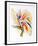 Bird of Paradise II-Vick Vibha-Framed Collectable Print