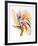 Bird of Paradise II-Vick Vibha-Framed Collectable Print