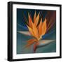 Bird of Paradise II-Vivien Rhyan-Framed Premium Giclee Print