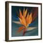 Bird of Paradise II-Vivien Rhyan-Framed Premium Giclee Print