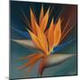 Bird of Paradise II-Vivien Rhyan-Mounted Premium Giclee Print