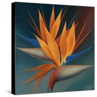 Bird of Paradise II-Vivien Rhyan-Stretched Canvas