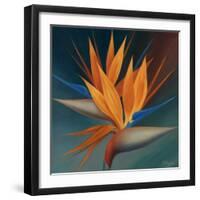 Bird of Paradise II-Vivien Rhyan-Framed Art Print