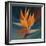 Bird of Paradise II-Vivien Rhyan-Framed Art Print