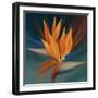 Bird of Paradise II-Vivien Rhyan-Framed Art Print