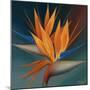 Bird of Paradise II-Vivien Rhyan-Mounted Art Print