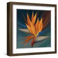 Bird of Paradise II-Vivien Rhyan-Framed Art Print