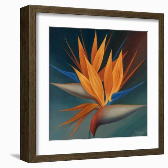 Bird of Paradise II-Vivien Rhyan-Framed Art Print