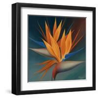 Bird of Paradise II-Vivien Rhyan-Framed Art Print