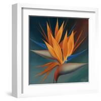 Bird of Paradise II-Vivien Rhyan-Framed Art Print