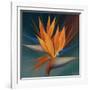 Bird of Paradise II-Vivien Rhyan-Framed Art Print