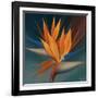 Bird of Paradise II-Vivien Rhyan-Framed Art Print