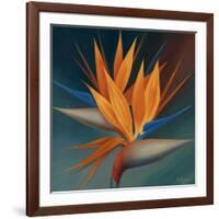 Bird of Paradise II-Vivien Rhyan-Framed Art Print