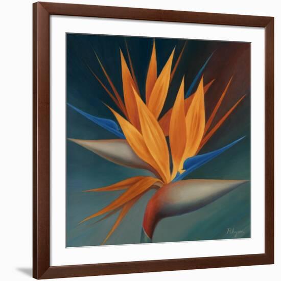 Bird of Paradise II-Vivien Rhyan-Framed Art Print