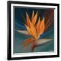 Bird of Paradise II-Vivien Rhyan-Framed Art Print