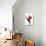 Bird of Paradise III-Monika Burkhart-Stretched Canvas displayed on a wall