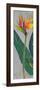 Bird of Paradise Triptych I-Tim OToole-Framed Art Print