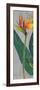 Bird of Paradise Triptych I-Tim OToole-Framed Art Print