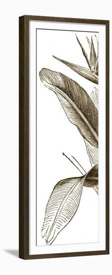 Bird of Paradise Triptych I-Vision Studio-Framed Premium Giclee Print