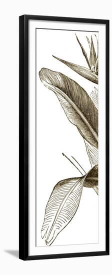 Bird of Paradise Triptych I-Vision Studio-Framed Premium Giclee Print