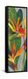 Bird of Paradise Triptych II-Tim OToole-Framed Stretched Canvas