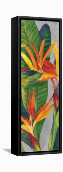 Bird of Paradise Triptych II-Tim OToole-Framed Stretched Canvas