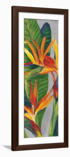 Bird of Paradise Triptych II-Tim OToole-Framed Art Print