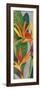 Bird of Paradise Triptych II-Tim OToole-Framed Art Print