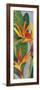 Bird of Paradise Triptych II-Tim OToole-Framed Art Print