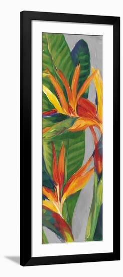 Bird of Paradise Triptych II-Tim OToole-Framed Art Print