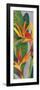 Bird of Paradise Triptych II-Tim OToole-Framed Art Print