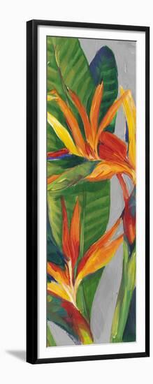 Bird of Paradise Triptych II-Tim OToole-Framed Art Print