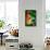 Bird of Paradise-Ursula Abresch-Framed Stretched Canvas displayed on a wall