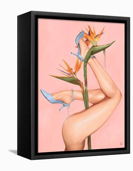 Bird of Paradise-Alexander Grahovsky-Framed Stretched Canvas