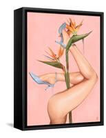 Bird of Paradise-Alexander Grahovsky-Framed Stretched Canvas