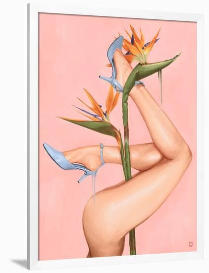 Bird of Paradise-Alexander Grahovsky-Framed Art Print