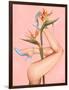 Bird of Paradise-Alexander Grahovsky-Framed Art Print