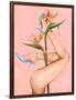 Bird of Paradise-Alexander Grahovsky-Framed Art Print