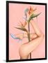 Bird of Paradise-Alexander Grahovsky-Framed Art Print