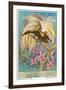 Bird of Paradise-null-Framed Art Print