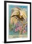 Bird of Paradise-null-Framed Art Print