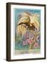 Bird of Paradise-null-Framed Premium Giclee Print