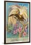 Bird of Paradise-null-Framed Art Print