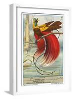 Bird of Paradise-null-Framed Art Print