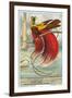 Bird of Paradise-null-Framed Art Print