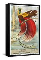 Bird of Paradise-null-Framed Stretched Canvas