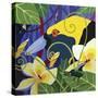 Bird Of Paradise-Cindy Wider-Stretched Canvas